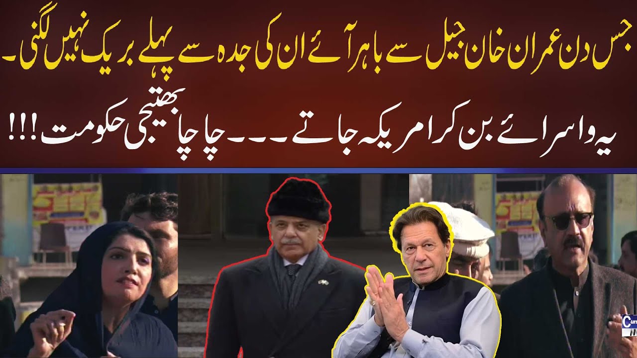 Aliya Hamza Join PTI Punjab Committee After Imran Khan Meeting | CurrentNN