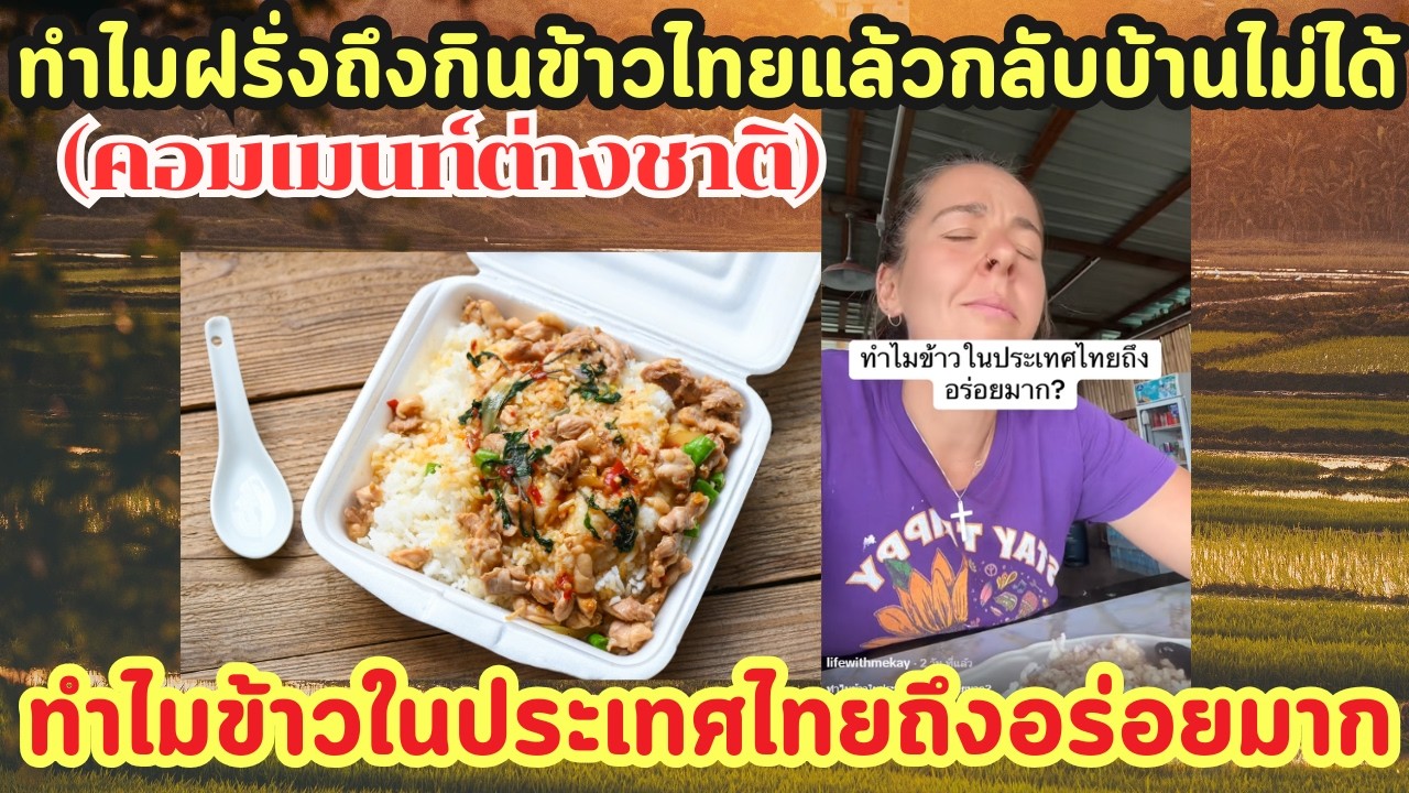 ฝรั่งถาม ทำไมข้าวในประเทศไทยถึงอร่อยมาก คอมเมนท์ต่างชาติ