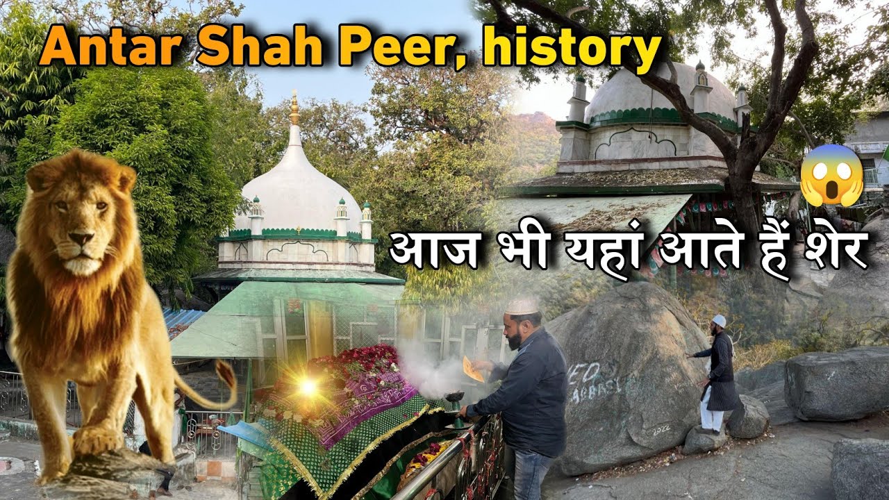 Antar Shah Wali Dargah History | Aaj Bhi Yahan Aate Hain Sher🦁 | Antar Shah Peer Dargah Gujarat