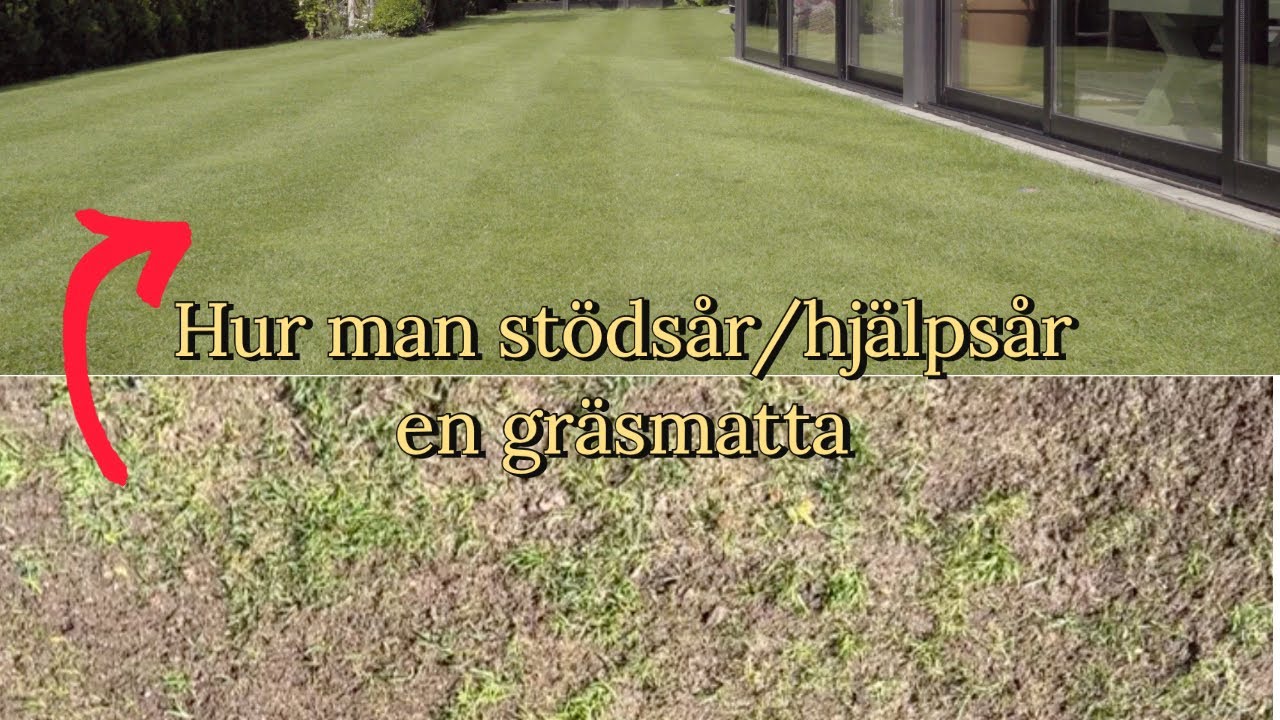 Hur man stödsår/hjälpsår en gräsmatta