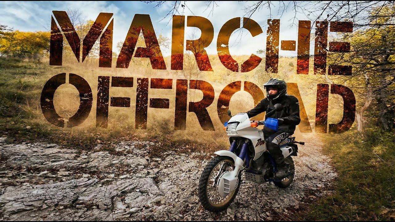 SE AMI l'OFFROAD devi vedere QUESTO