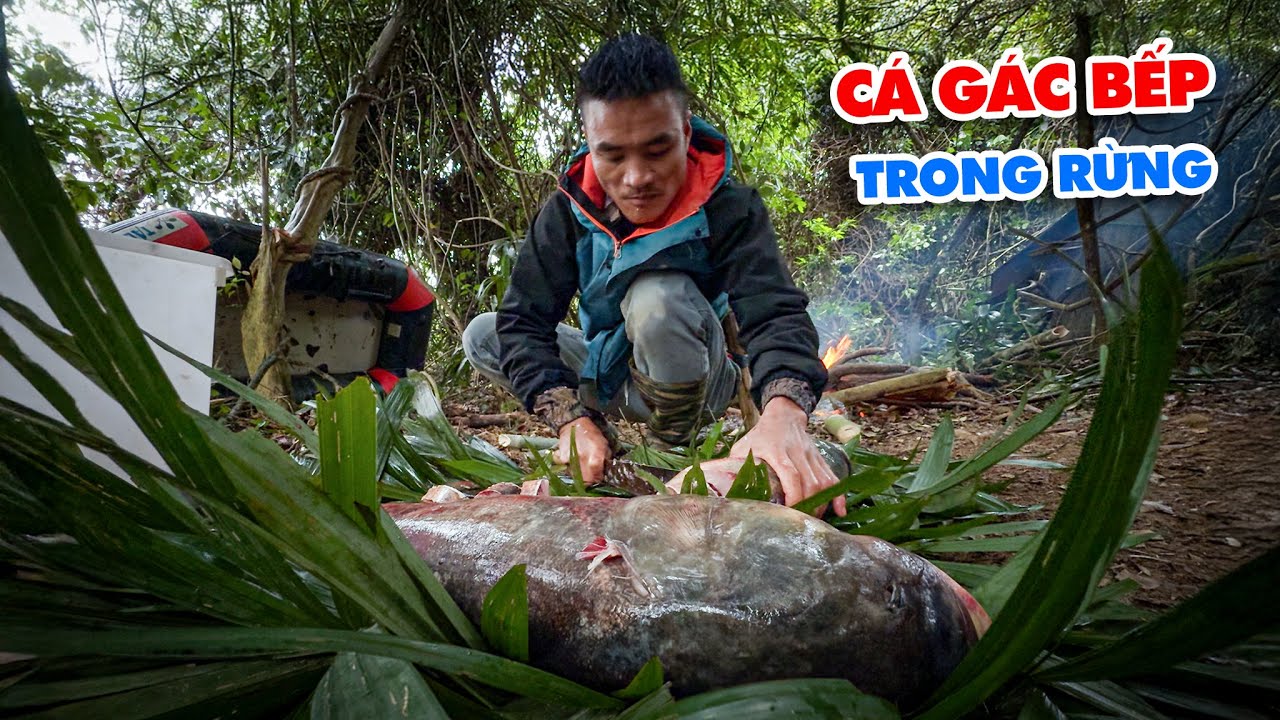 TRÚ TRONG RỪNG RẬM TRÁNH RÉT, BẮT CÁ GÁC BẾP LÀM THỨC ĂN