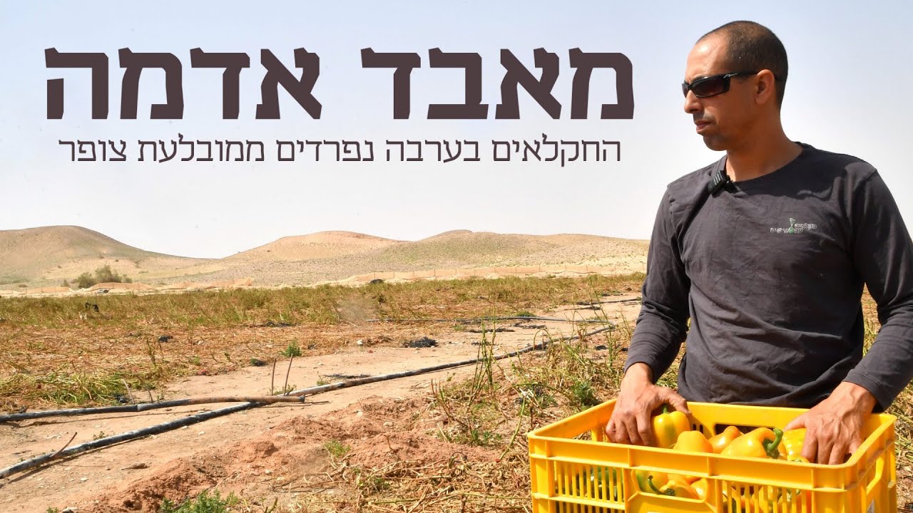 פלפלים עצובים: במובלעת צופר מאבדים את האדמה