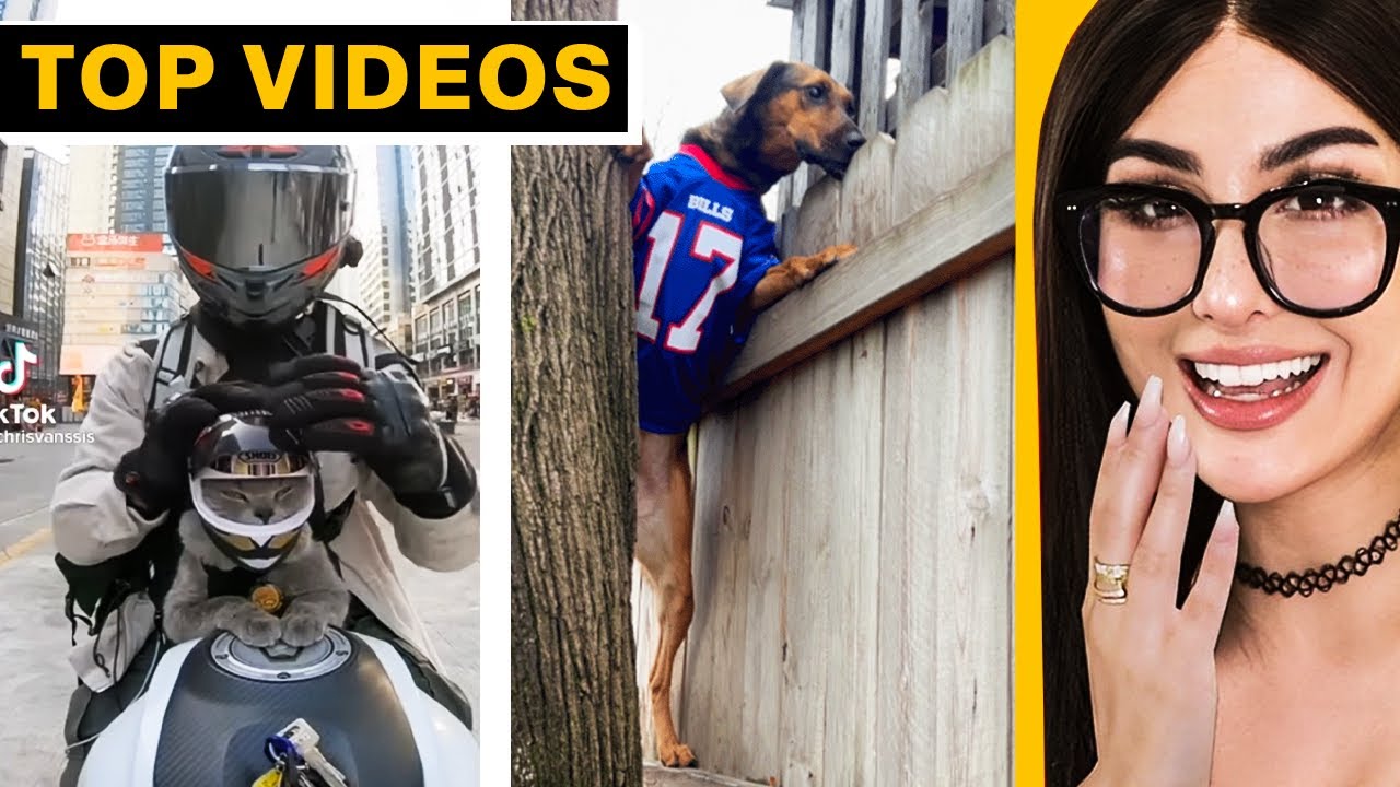 Pets Who Exposed Their Owners 😂🐾 | SSSniperWolf