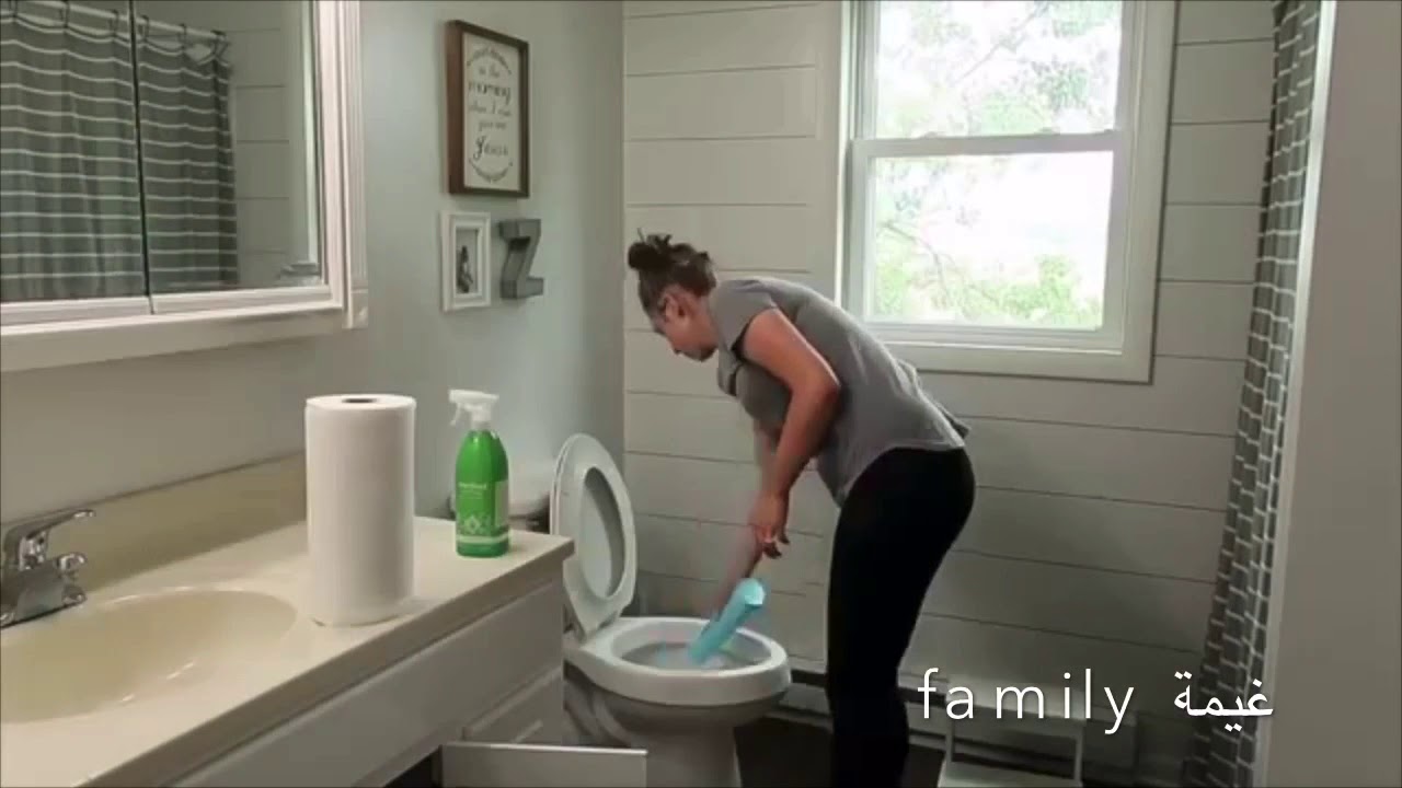 The Fly Lady Home Cleaning Way - Бросьте вызов лени, сделайте уборку в своем доме - Начало