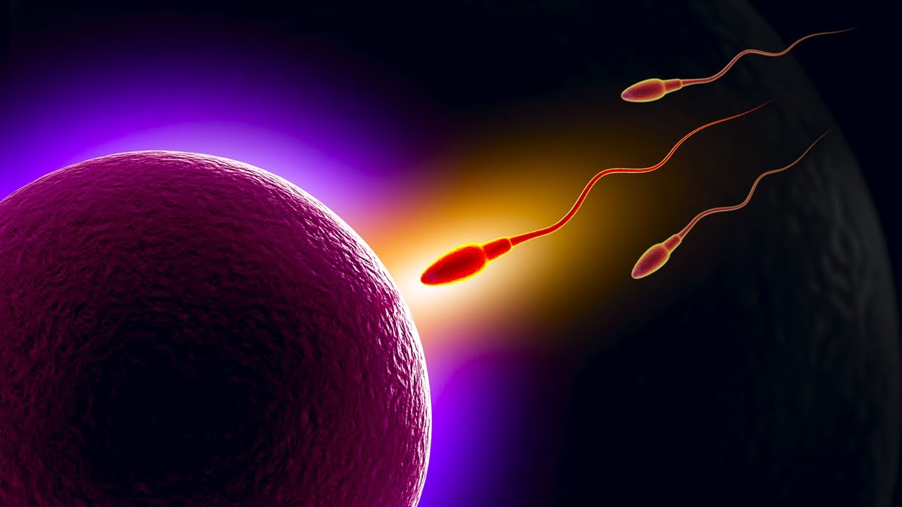 Musique pour Tomber Enceinte ⦿ Guérison des Ovaires, Bonne Menstruation, Booster la Fertilité