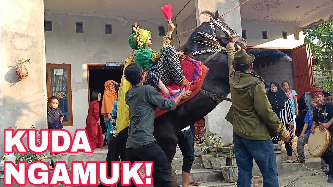 KUDA NGAMUK DEPAN RUMAH! TRADISI KUDA MENARI ADAT MANDAR