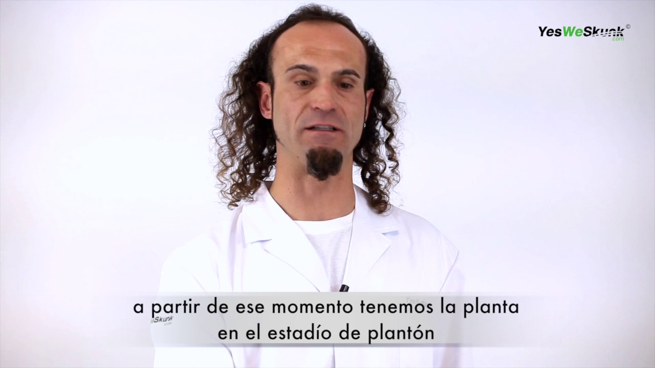Capítulo 4. Etapas de crecimiento.Plántula y Plantón