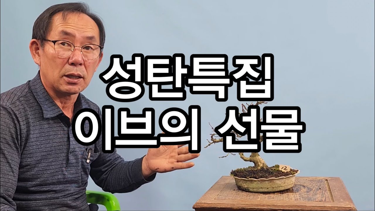 성탄특집- 이브의 선물