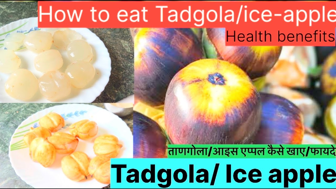 Tadgola | Ice apple|How to eat|Health benefits of ice apple|Tadgola ke fayde |Exotic fruit ice apple