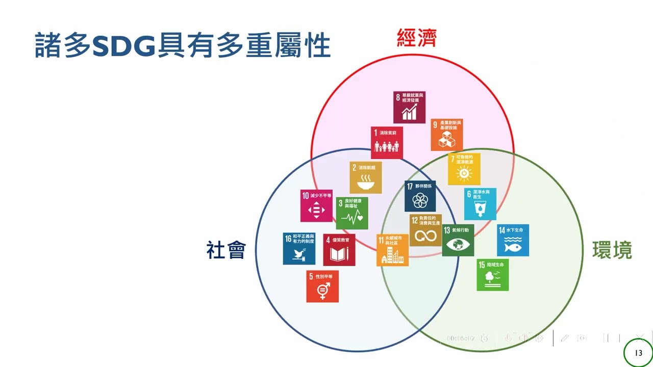 聯合國永續發展目標SDGs   包容發展的策略 (葉欣誠)