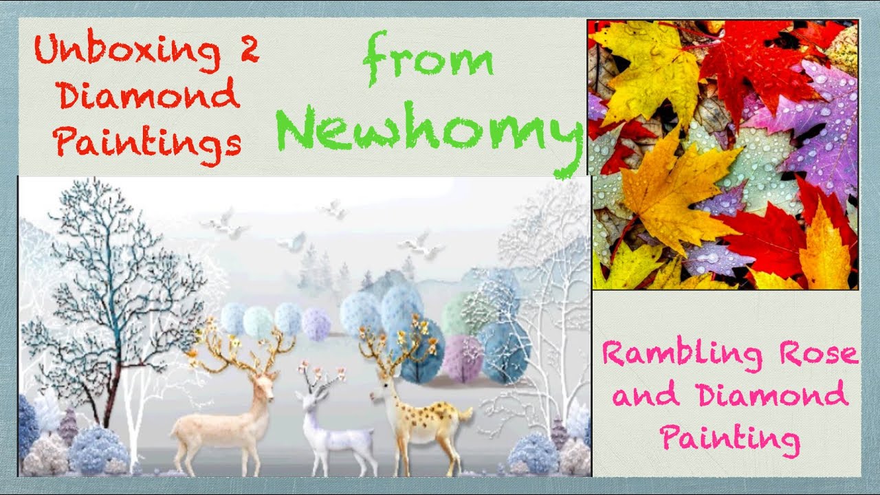 Unboxing 2 Diamond Paintings from Newhomy (#412 & #414)