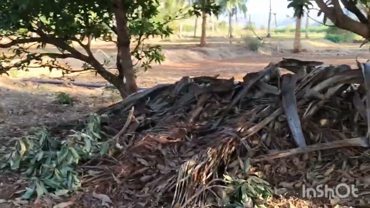 N p properties  1 acre  8 gunte pure red soil total 60 lakhs  6360446978 general property