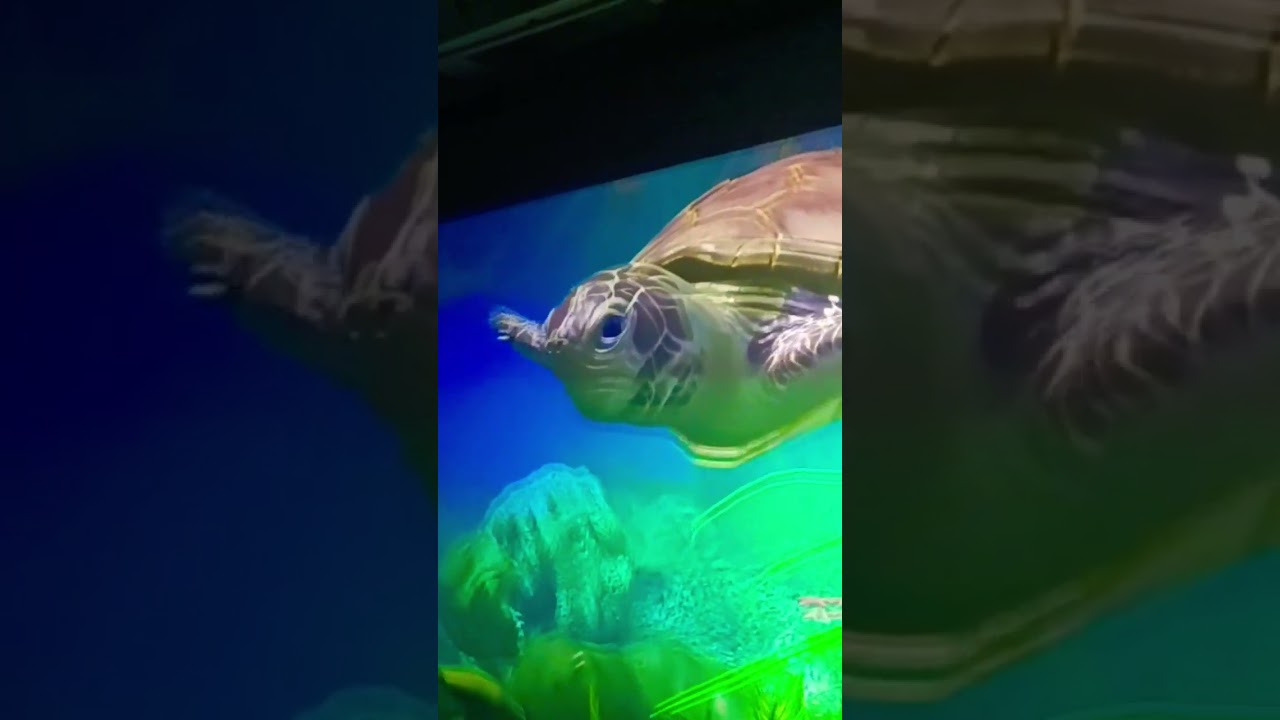 #3d