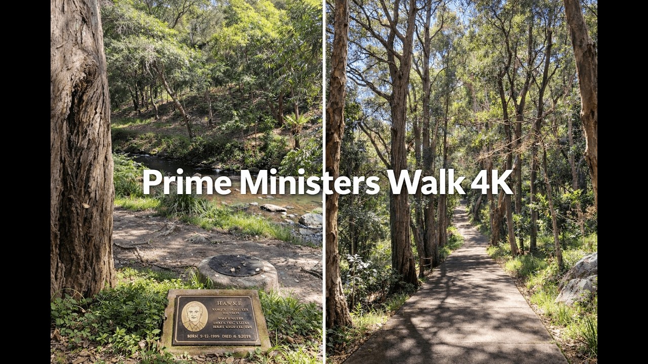 Walking Sydney In Summer ☀️ l Prime Ministers Walk - Bardwell Valley (4K Ultra HD)