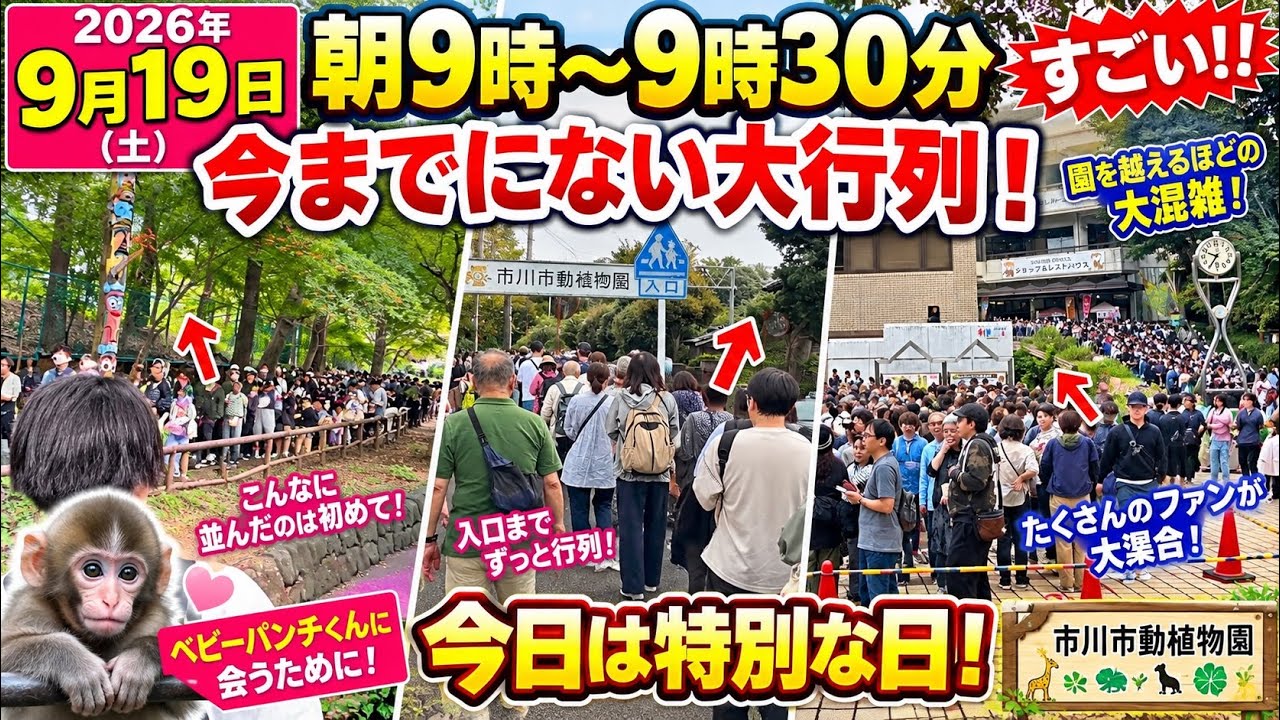【2026年9月19日】朝9時〜9時30分、ベビーパンチくんに会いたい人が大集合！今までにない大行列＆大混雑！【市川市動植物園】