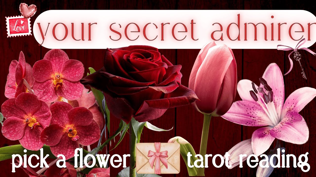 Who Has A Secret Crush On You? Their Next Move? What's Next?🌹| Pick A Card Tarot Reading For Love