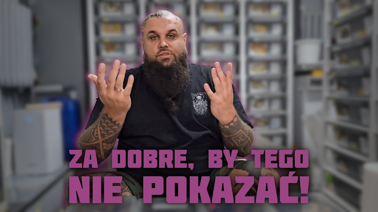 Czy udało się trafić Strangery? Odpowiedź znajdziecie w tym odcinku ❤️🤘🐍