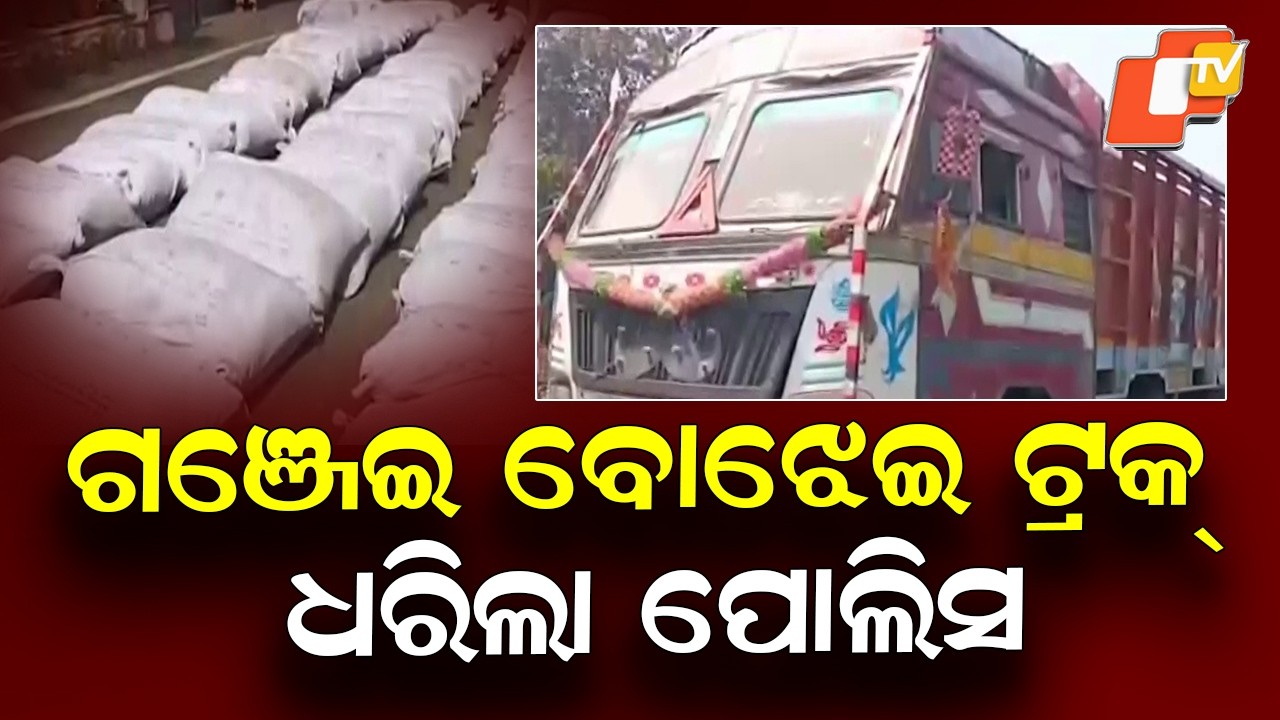 Anugul Police Seize Truck Loaded With 15 Quintals of Ganja, Owner Arrested