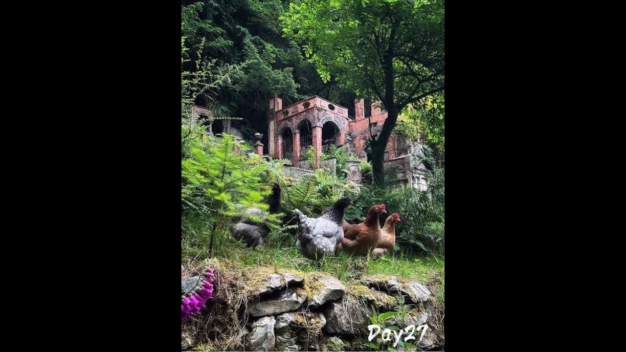 挑战在英国乡下林间小屋独居一个月 | 第27天。#欧洲生活 #独居生活 #女性成长 #一个人吃饭也要有滋有味