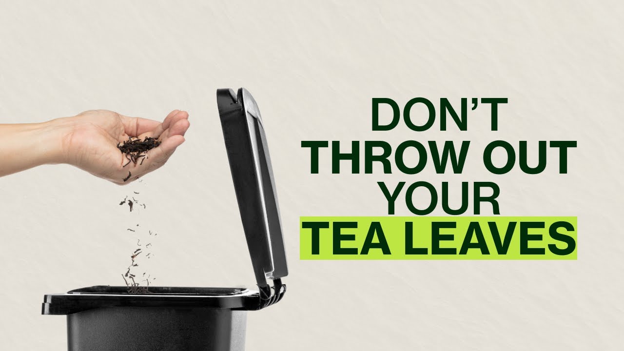 Don't Throw Out Your Tea Leaves - Do this instead!