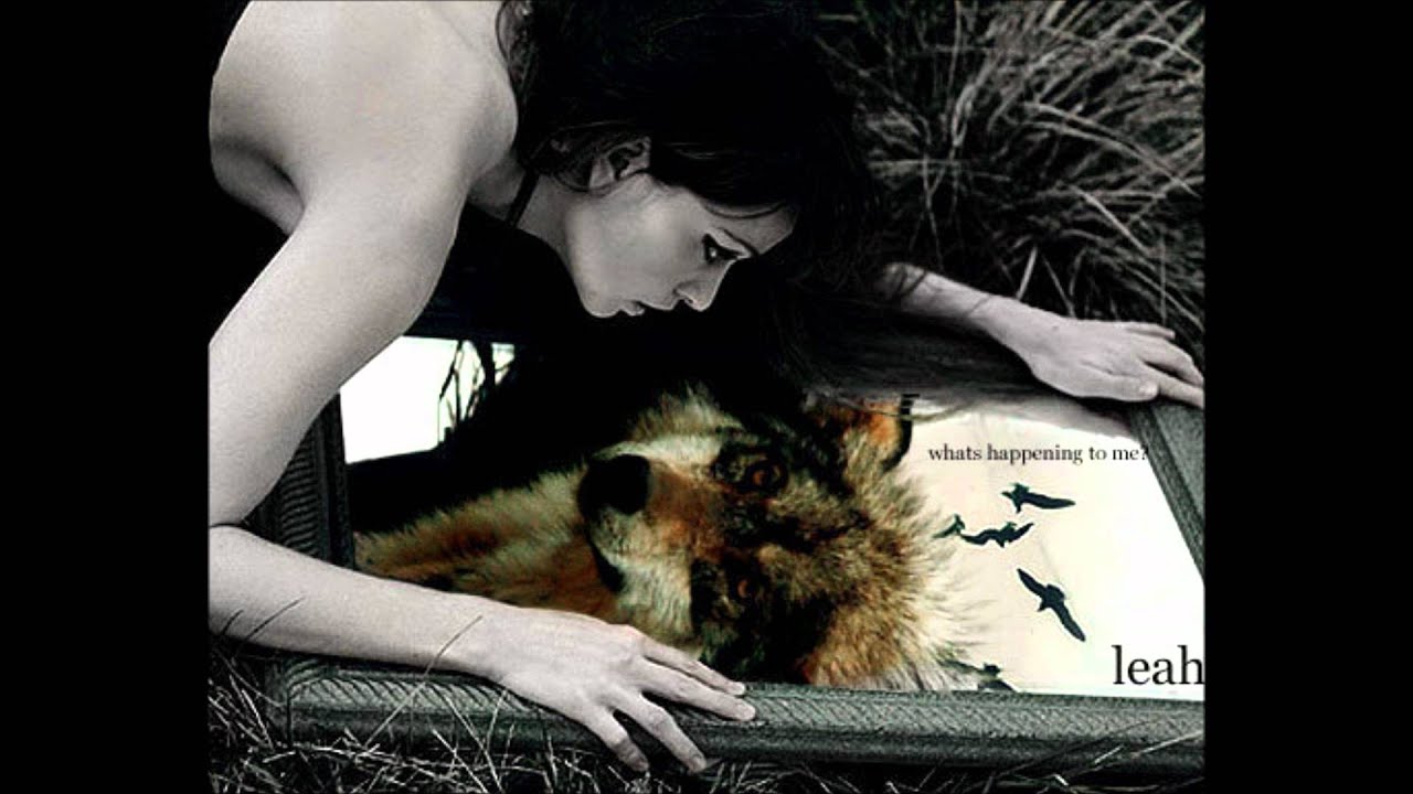 Leah Clearwater's Geschichte ♥