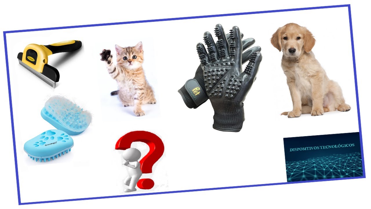 🐶 Descubre 7 QUITAPELOS y CEPILLOS para MASCOTAS | AMAZON 🐱👍