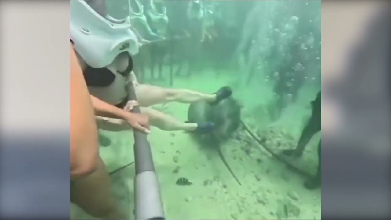 Mexico: Tourist Panics After Helmet Slips Off During Underwater Walk at Xcaret Park in Canc&uacute;n