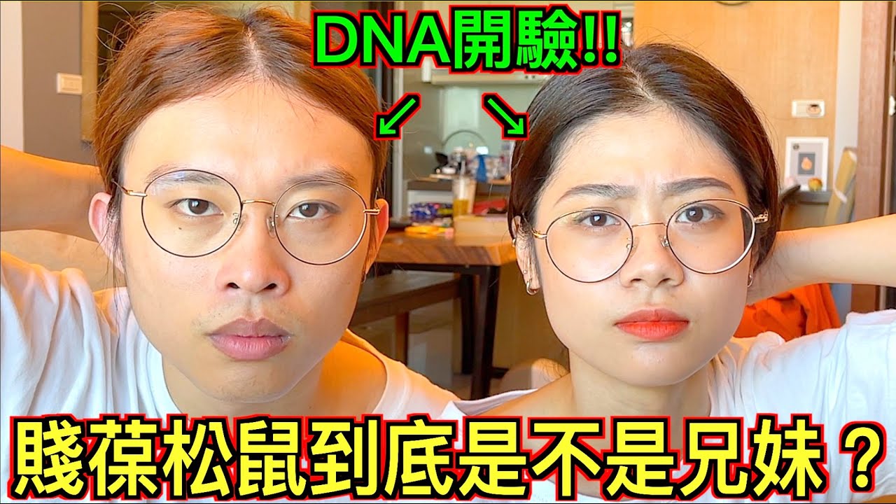 【破解身世之謎!!】花兩萬做ＤＮＡ親子鑑定！賤葆松鼠到底是不是兄妹！？