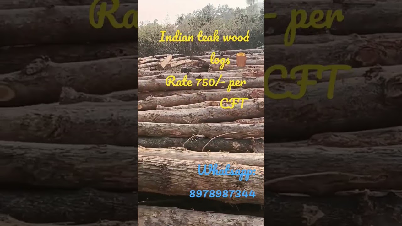 indian teak wood logs @ 750/- per CFT