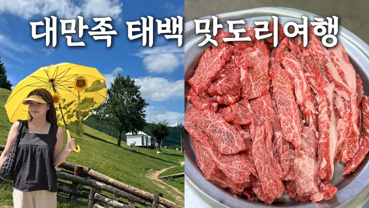 태백여행vlog | 소주와 함께하는 2박3일 | 맛집 성공률 100%🔥 태성실비식당, 물닭갈비, 코다리찜, 옹심이