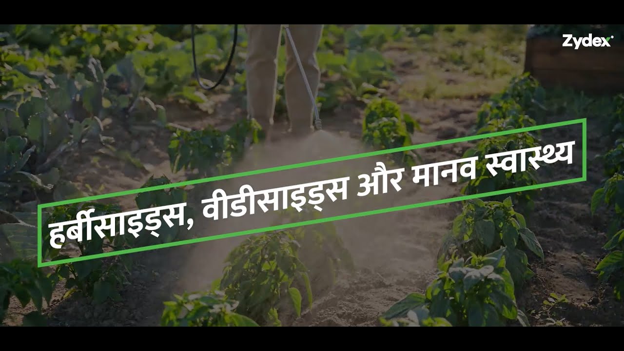 Herbicides, Weedicides and Human Health - Hindi