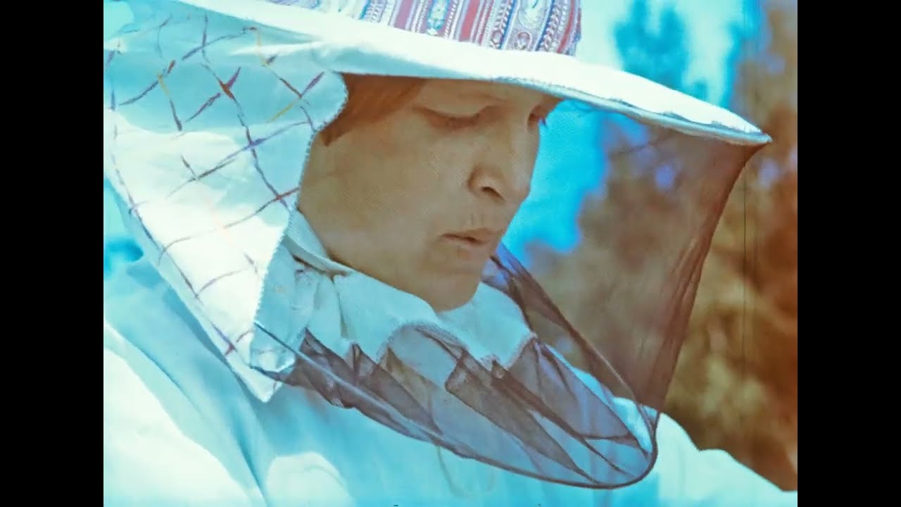 Пчелиные истории, 1987
