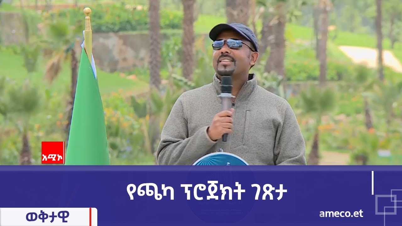 የጫካ ፕሮጀክት ገጽታ