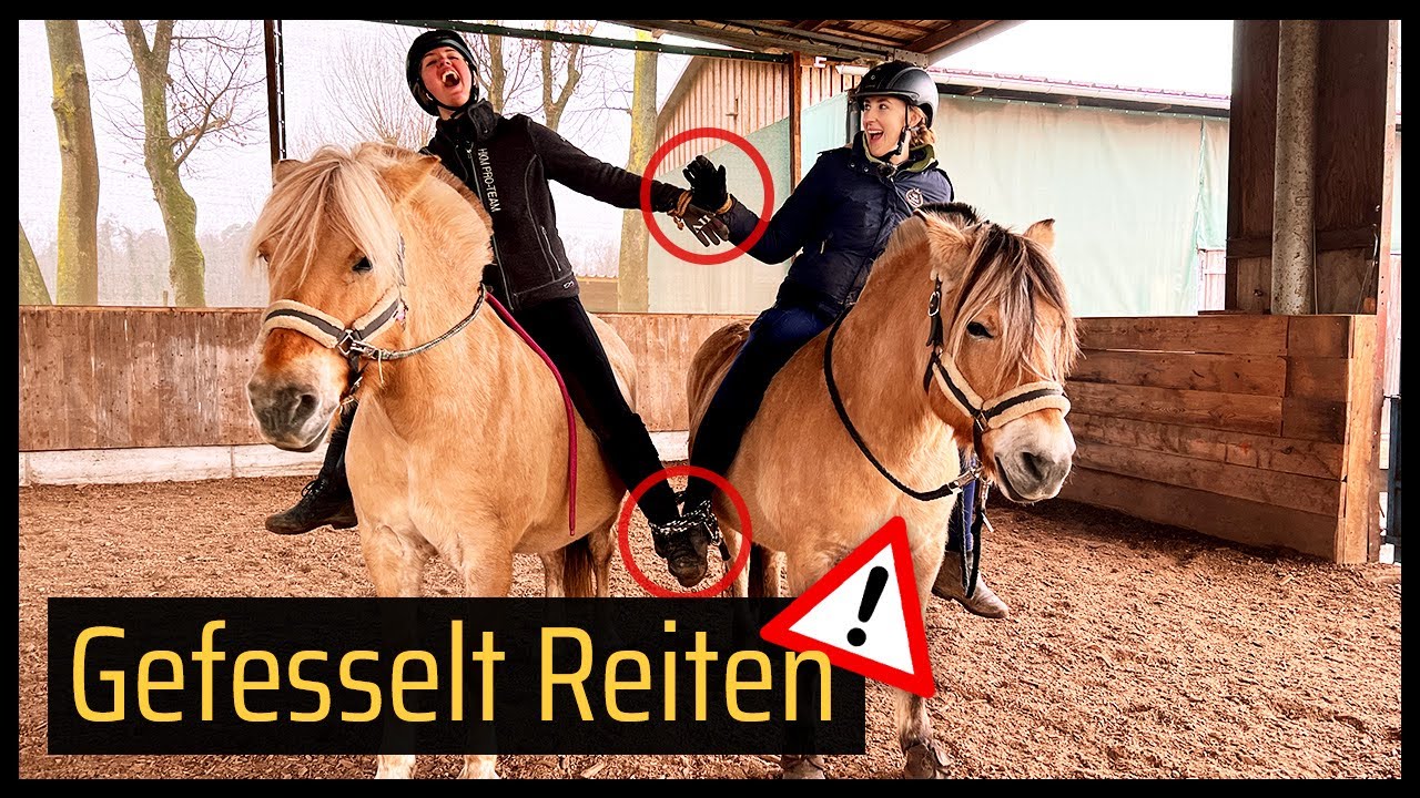 😱 GEFESSELT reiten, fertigmachen und putzen 🙈 // Blondis auf Fjordis