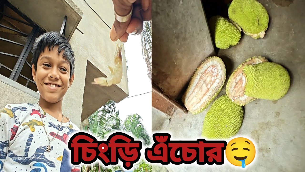 আজ হলো ঘরের গাছের এঁচোর চিংড়ি 🤤 | family vlog video 