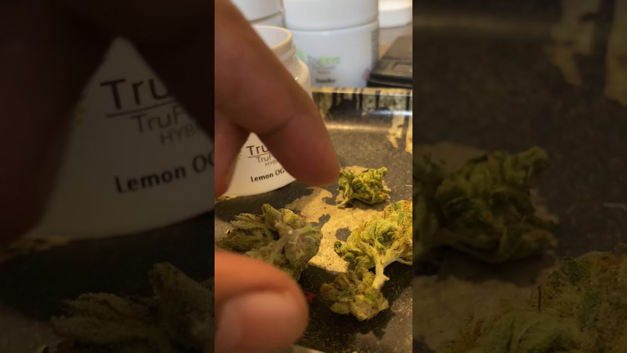 Trulieve truflower lemone OG kush hybrid #trulieve