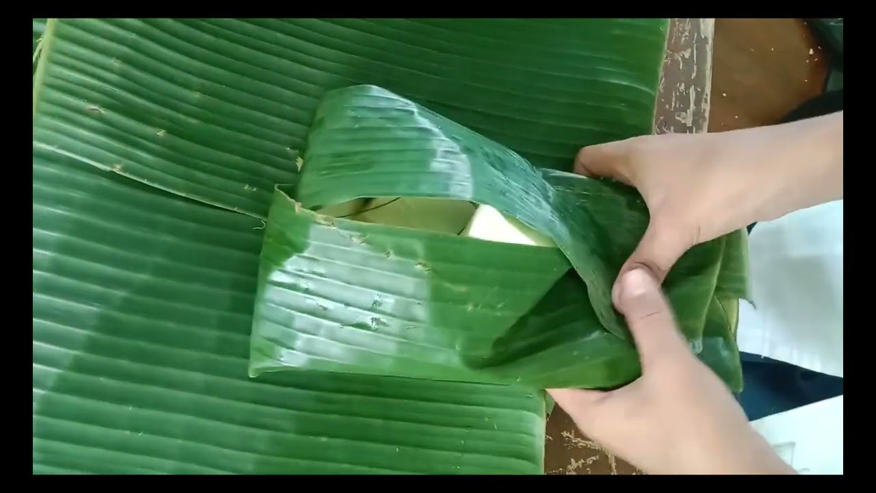 uprak membuat tapai mapel IPA & b.indo