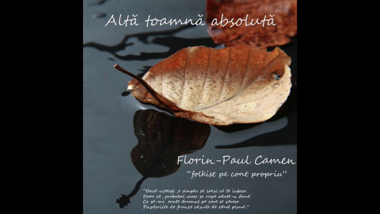 Florin-Paul Camen - Aș vrea