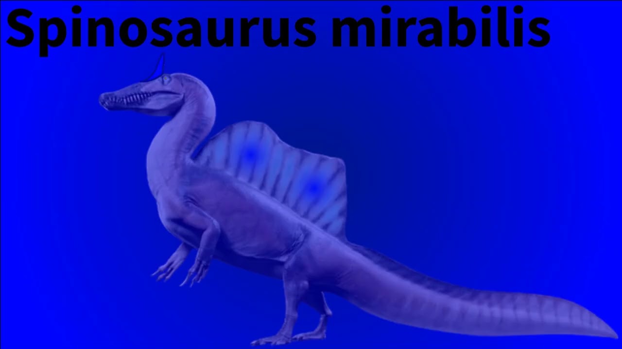 The New Spinosaurus Species: S. mirabilis