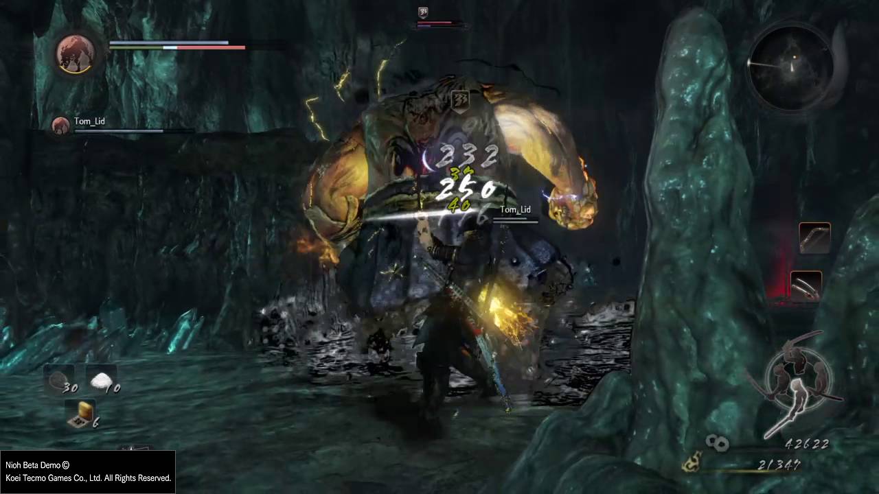 Nioh Beta Demo_2016 beeeeeef