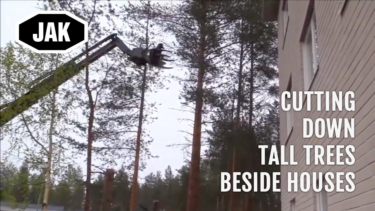 Cutting down tall Trees nearby houses | JAK 300Z and Manitou Telehandler at work | Jak.fi