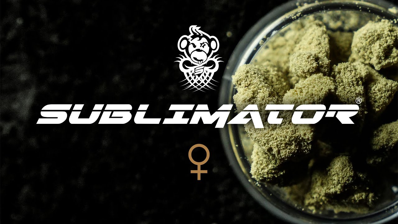R-KIEM Seeds. SUBLIMATOR THE ORIGIN OF A STRAIN