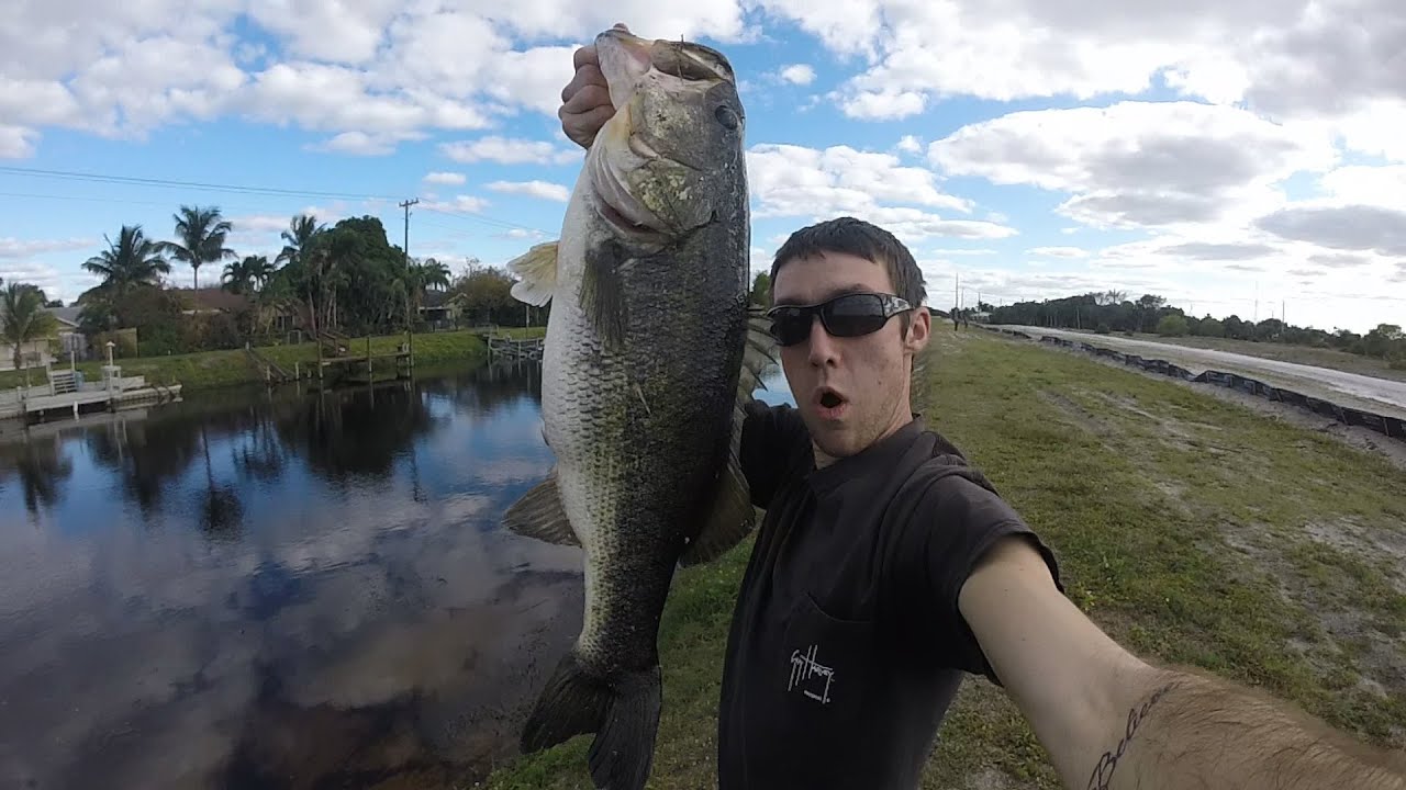 Two 9lb Florida Canal Largemouth Bass. Fishing Florida Day 1