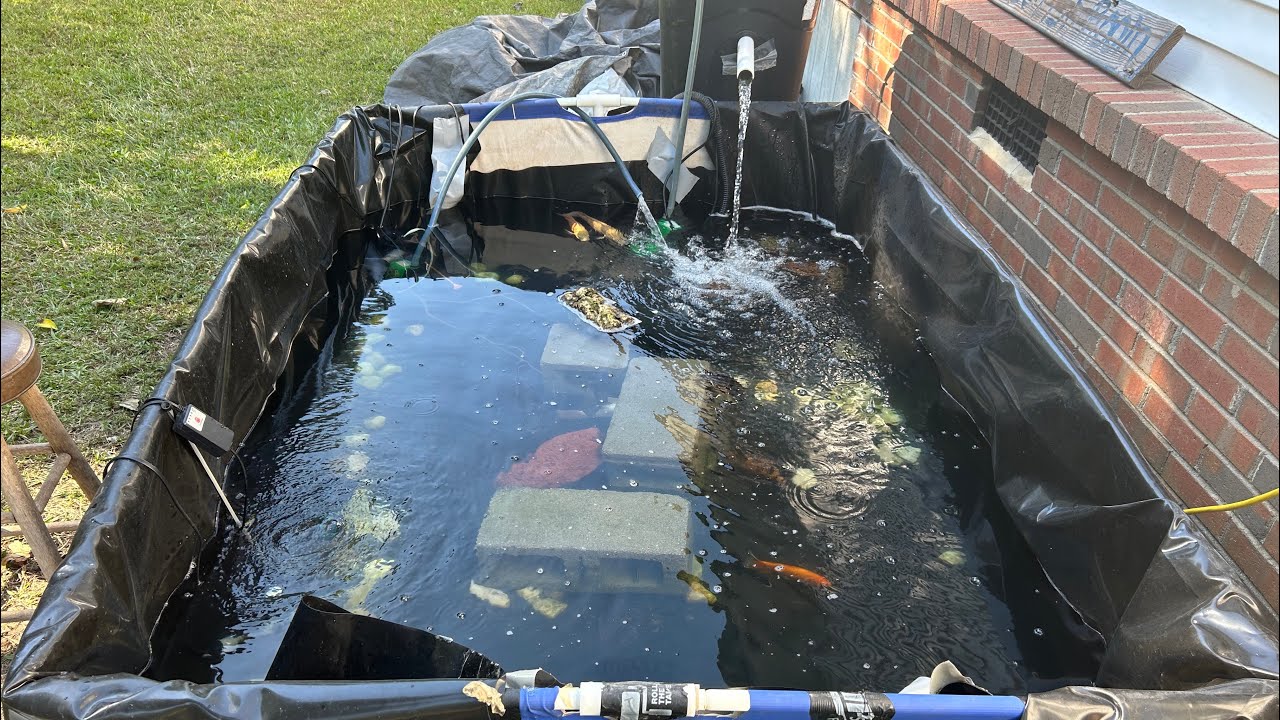 My dream 800 gallon pond is finally done