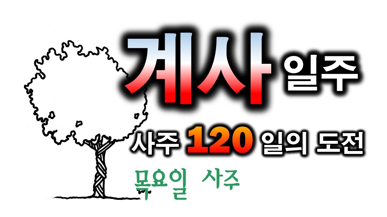 계사일주 한방정리(116일차)
