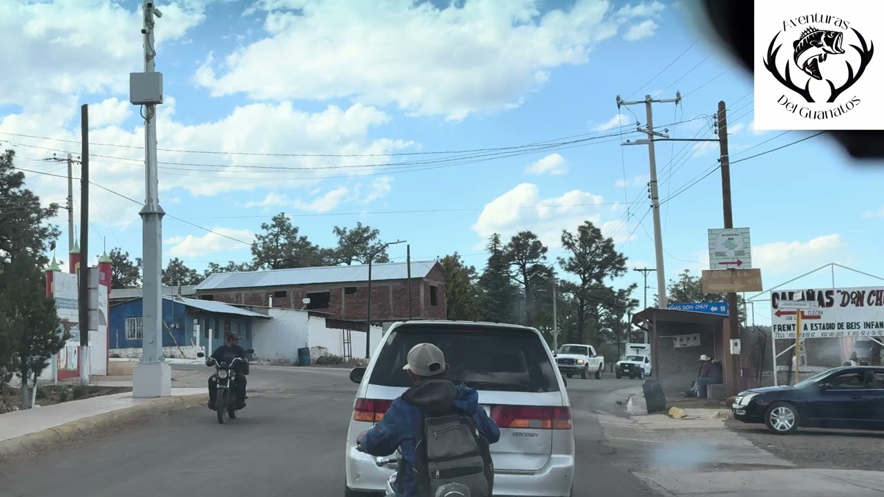 Madera chihuahua