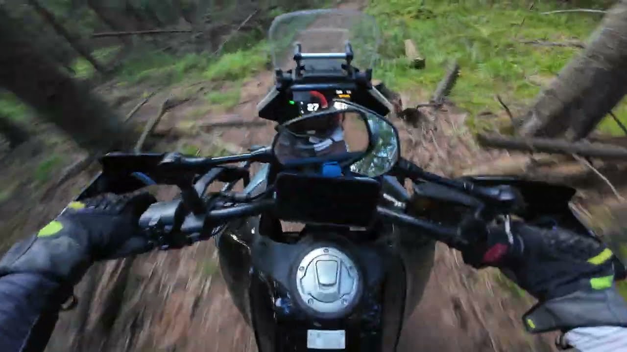 Best trail ridden so far on my MT450