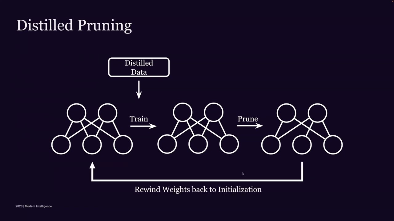 [AUTOML23] Distilled Pruning: Using Synthetic Data to Win the Lottery