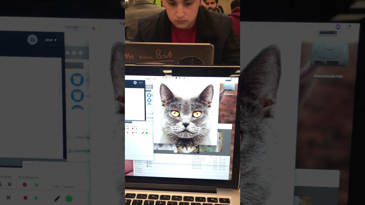 Machine Learning Cat Classifiier Project